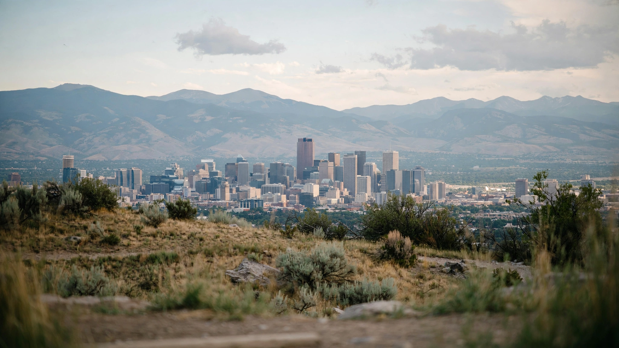 Downtown Denver skyline with the Front Range, seen from a hillside on a hazy afternoon